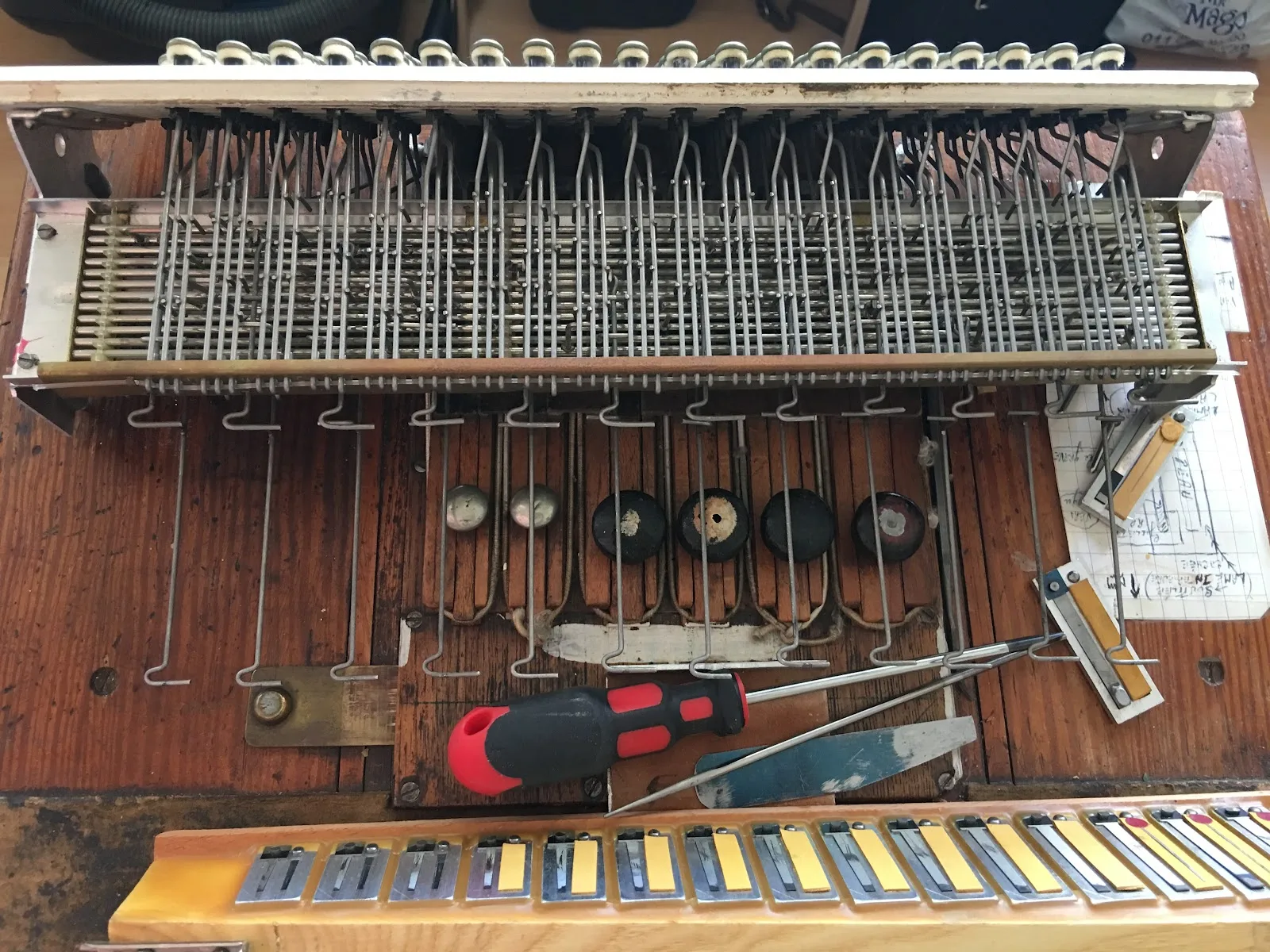 Accordéon Passion