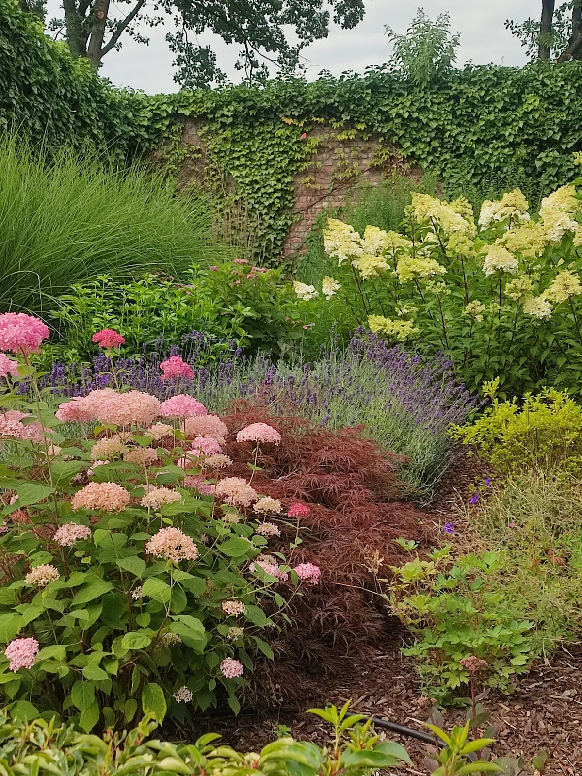 L'harmonie du jardin