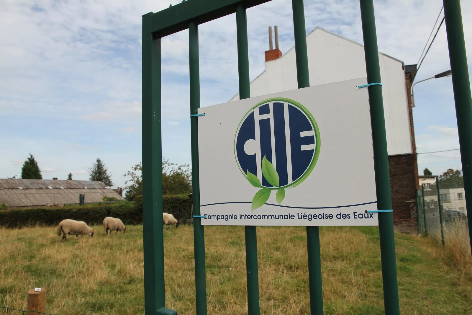 CILE SC