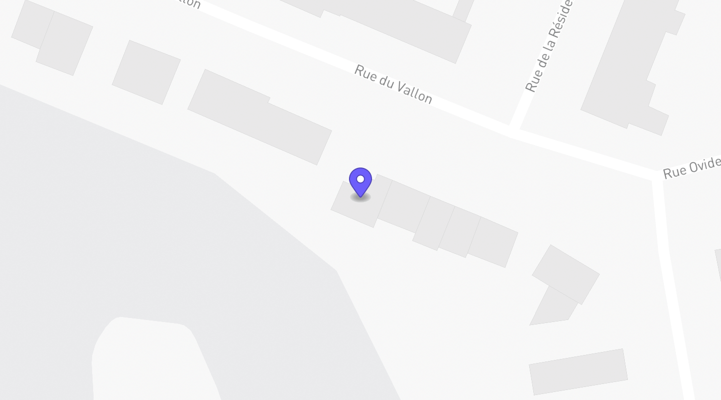 Carte : NS Telecom SRL