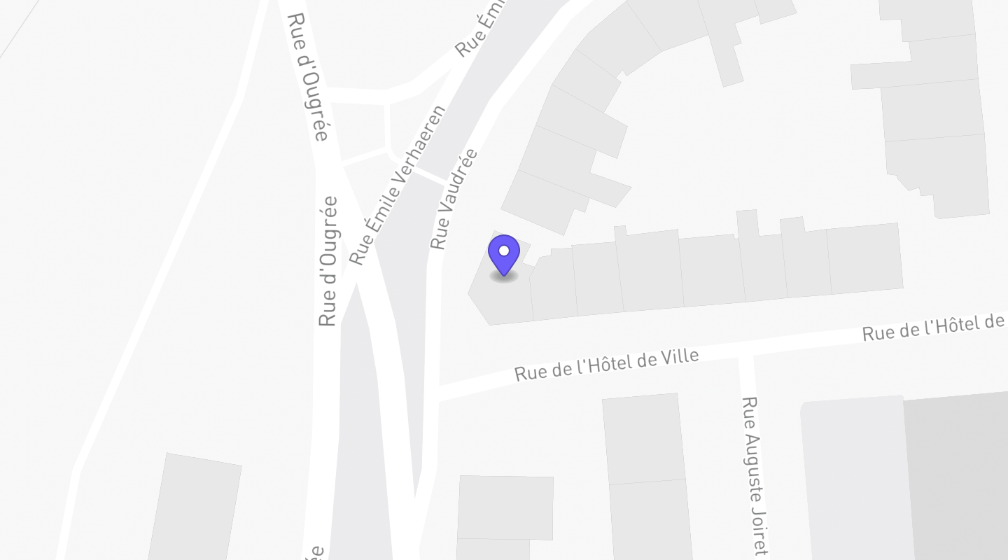 Carte : Vétérinaire Dr Stéphanie Lebeau